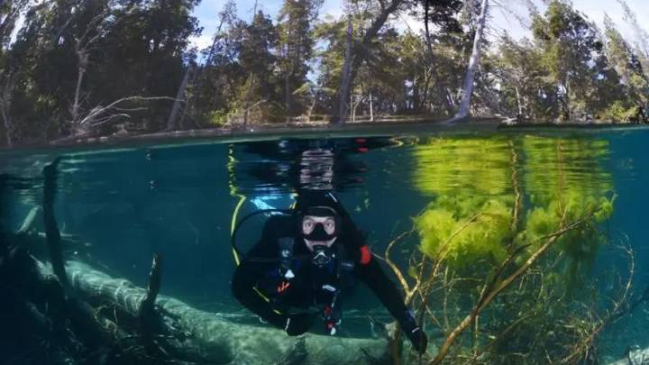 Escapada de buceo por Argentina: los mejores destinos para descubrir el fondo marino