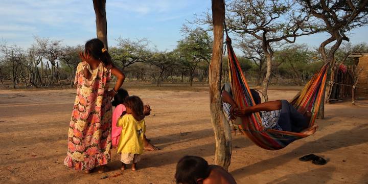 Revelan sobrecostos e irregularidades en programa del Gobierno Petro para la lucha contra la desnutrición