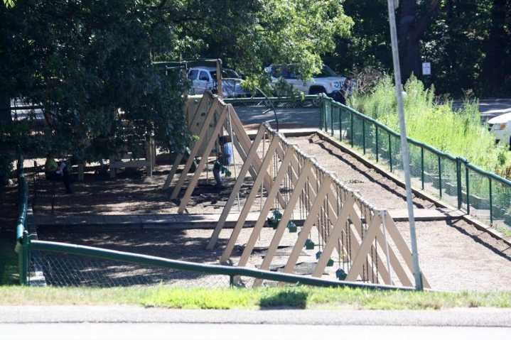 Former students say Judge Rotenberg Center's electric shocks aren’t all they endured