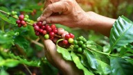 Dos pueblos para visitar cerca de Manizales; destinos ideales para los amantes de la naturaleza y un buen café