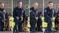 Meet CHP's newest K-9 officers: Jury, Judge , Jag and Oso