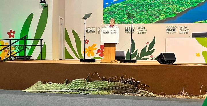 Presentan corredor trinacional para proteger la Selva Maya