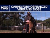 Florida non-profit cares for hospitalized veterans' dogs