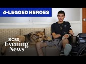 Dogs who serve on the battlefield and beyond