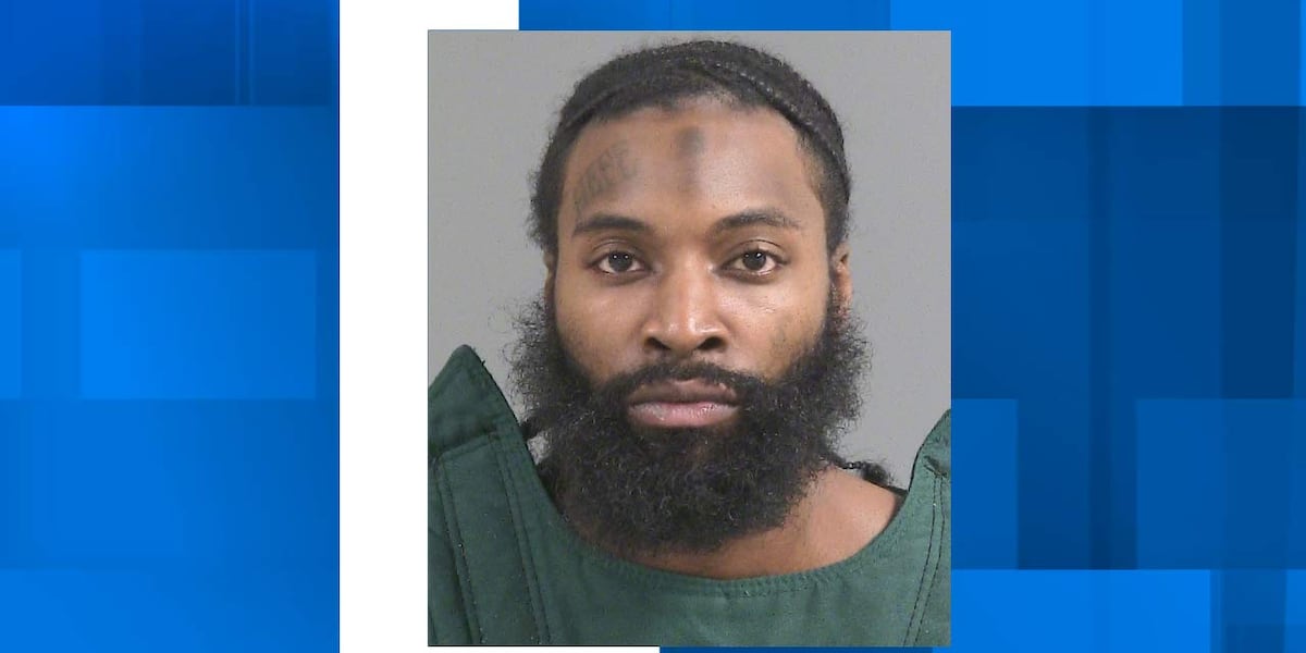 Convicted felon arrested with stolen gun in North Charleston, police say