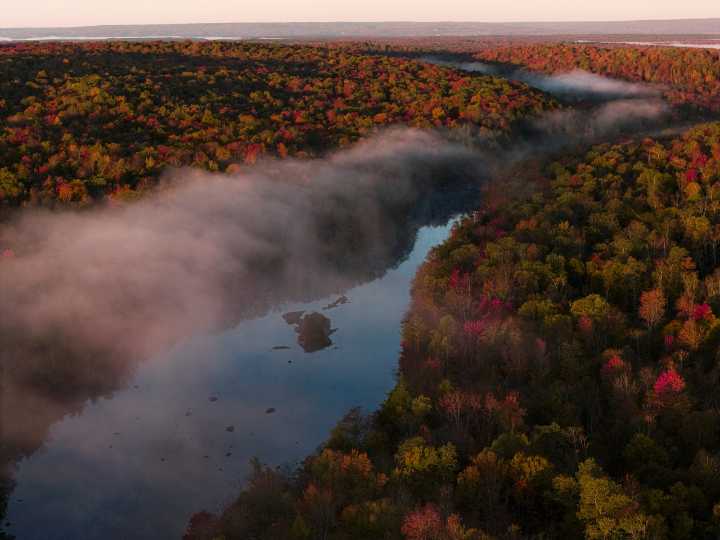 Give thanks for nature, our human home (Guest Opinion by Robert Kuehnel & Martha Viglietta)