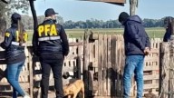 Golpearon a un hombre y le robaron $150.000, buscan a una banda que actuó con camperas de la PFA
