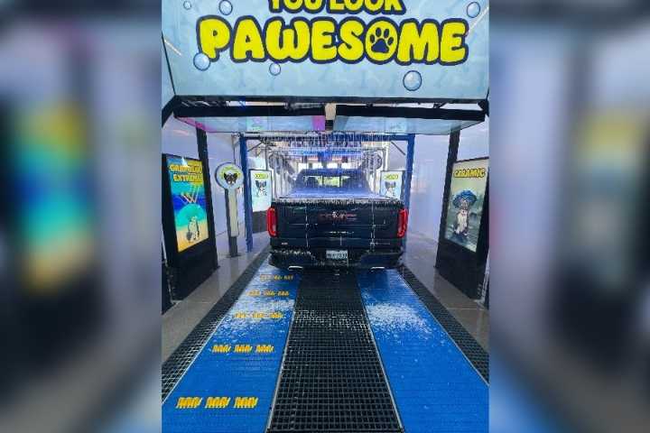 Scooter’s Car and Dog Wash opens in ...