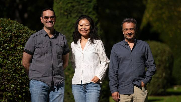 El sorprendente hallazgo de la UPNA: los árboles sufren más por dentro que por fuera