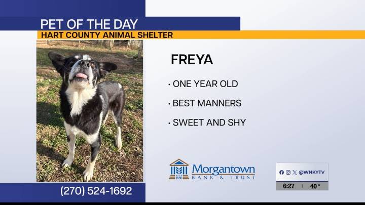 Pet of the Day: Freya