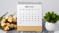 See the November 2025 calendar which includes holidays, national days, more