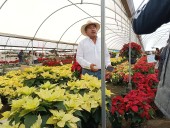 Vivero “Flor Natura” destaca en Puebla por su producción de Nochebuena y tradición florícola