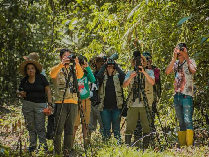 Venezuela ocupa el quinto lugar en avistamiento de aves en el mundo