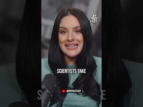 Brady says he cloned his late dog #shorts