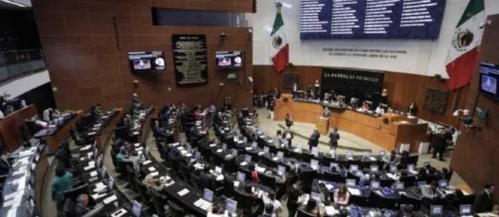 Llega al Senado la primera renuncia de un juez electo en la reforma judicial
