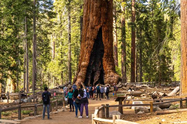 Canadians traveling to U.S. to pay higher fees to visit national parks