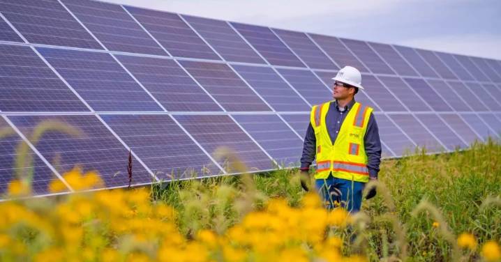 Escenario laboral en Chile: Empleos que apuestan por la sostenibilidad pagan $136 mil más que los trabajos tradicionales