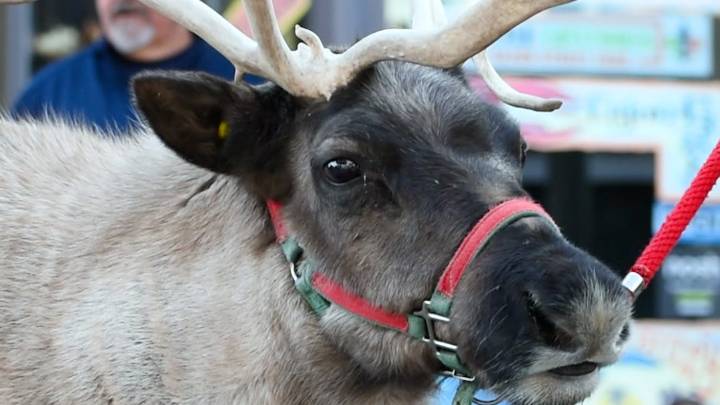 Santa Claus makes a grand entrance on a fire truck at Old Town Square