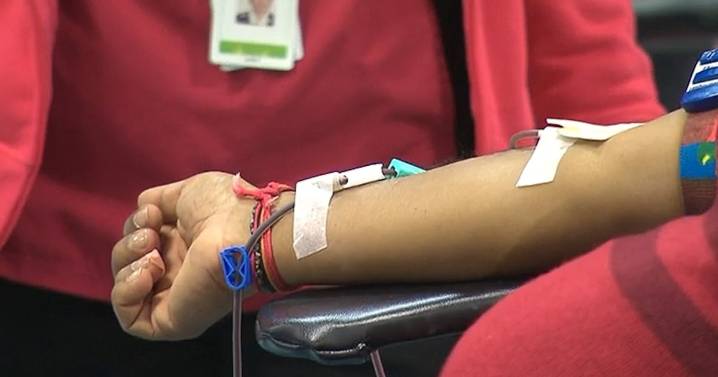 N.S. drag artists host blood drive in Halifax