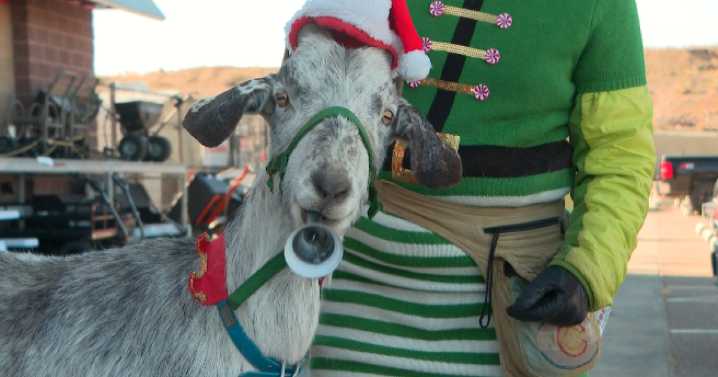 Goat bell ringer helps Salvation Army spread holiday cheer in Pueblo