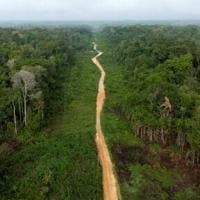 Brazil records biggest annual fall in emissions in 15 years: report