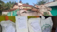 Farmer sells cow, gets cartload of RTI documents from gram panchayat in Arkalgud
