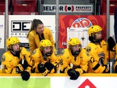 Hockey Fest returns to Owen Sound next week