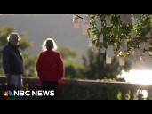Yoko Ono ‘Wish Tree’ in full bloom