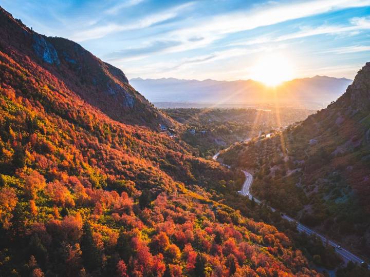 Hero dad who protected kids charged with child abuse, torture