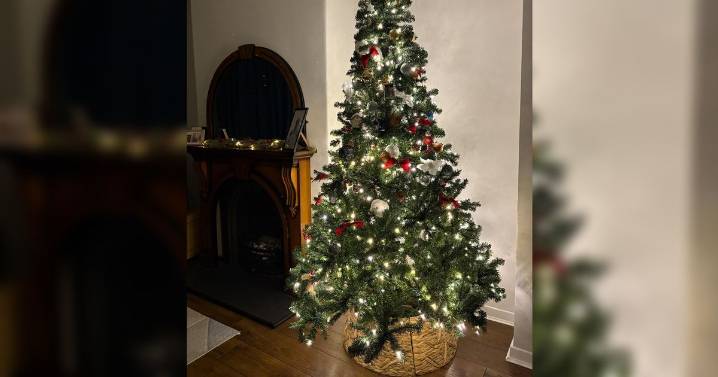 'I'm a mum and have perfect hack to keep toddler away from Christmas tree'