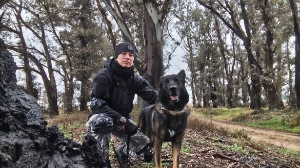 Murió Thor, el perro de búsqueda de la Policía pampeana