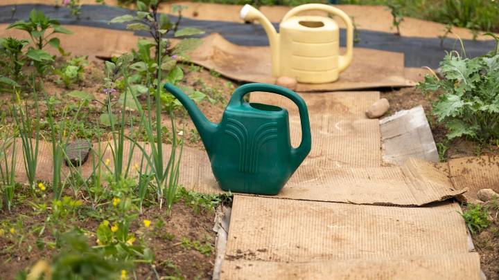 People are using the 'cardboard method' to prepare garden beds for the winter