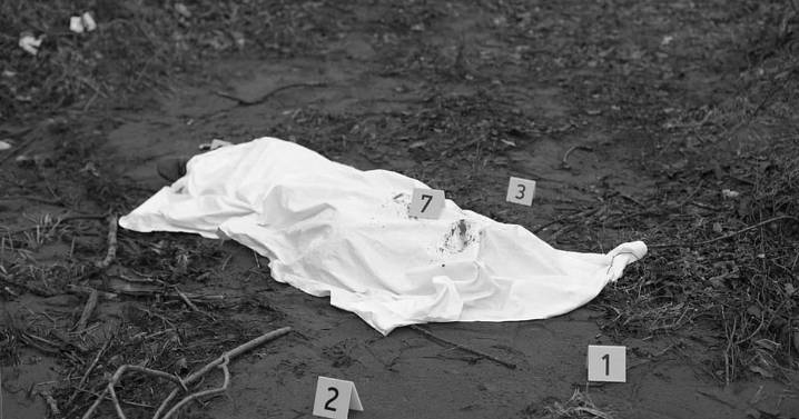 2 BLOs die in Madhya Pradesh; kin allege SIR survey work pressure