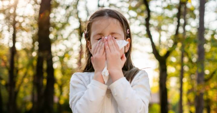 How to tell if your child has an allergy or cold with our hay fever symptom guide