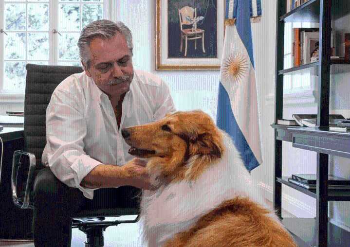 Murió Dylan, el perro de Alberto Fernández