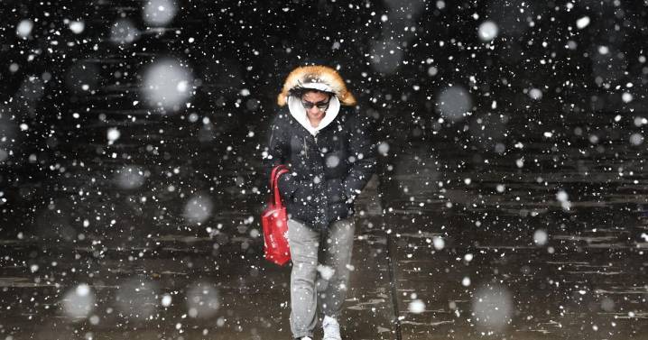 Significant snow, strong winds expected in Toronto