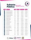 El Gobierno subastará 36 vehículos oficiales