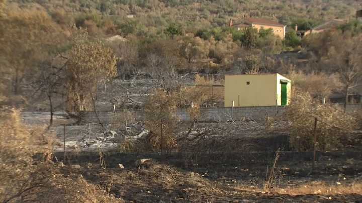El Ministerio de Agricultura adjudica 8,4 millones a explotaciones afectadas por los incendios en Extremadura More