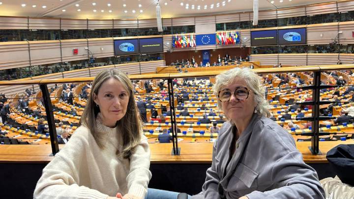 Las víctimas de la DANA piden declarar en Les Corts y los alcaldes de la zona cero más ayuda para la reconstrucción