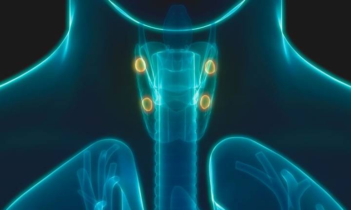Microwave and Radiofrequency Ablation Are Effective Alternatives to Surgery for Hyperparathyroidism...
