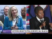 Democrat Spanberger Expected to Win Virginia Governor's Race