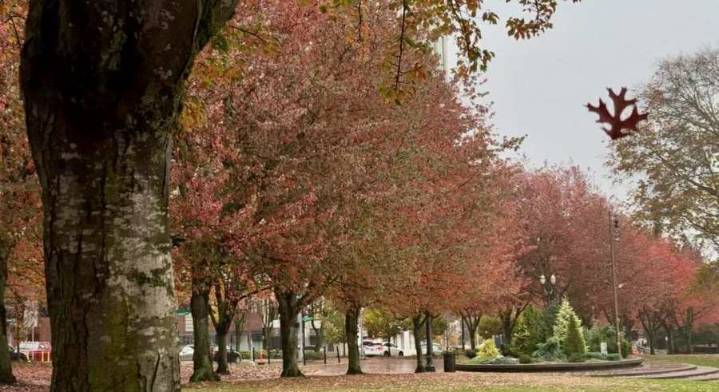 Rain remains, drier end to November takes shape