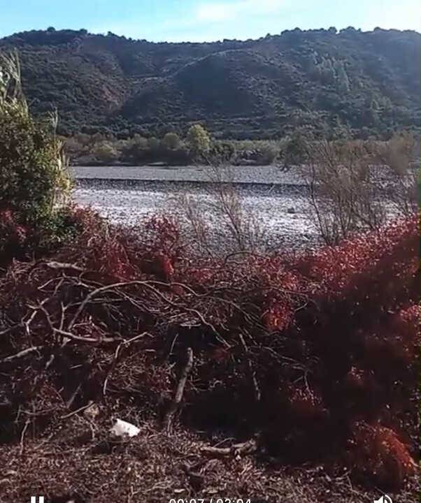 La ribera del río Genal, sometida a una deforestación continuada para plantar aguacates