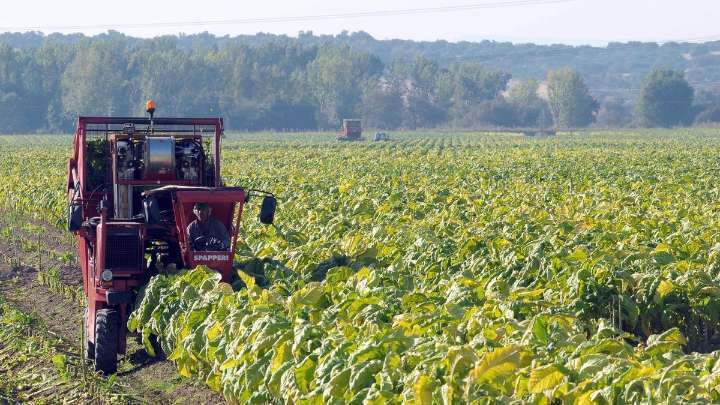 UPA-UCE pide que se dé marcha atrás en la equiparación del tabaco calentado con los cigarrillos tradicionales