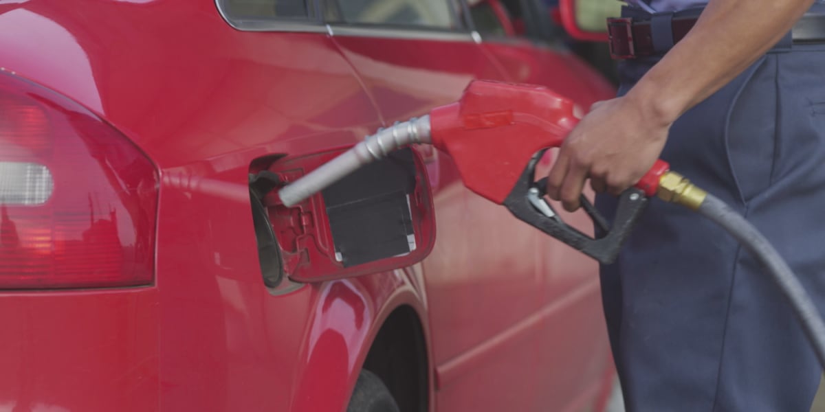 UF researchers develop AI models to optimize biofuel production