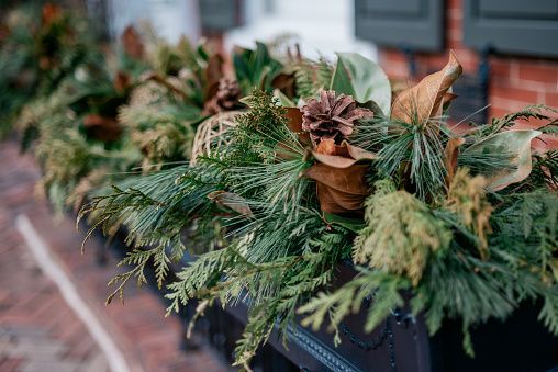 Growing Concerns: Snow makes holiday decorating appropriate