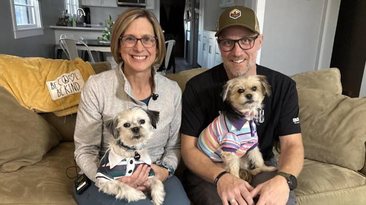 Couple unknowingly reunites mother and son dogs through adoption