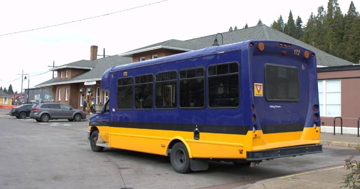 Pilot connects rural Benton, Yamhill County communities with transit hubs