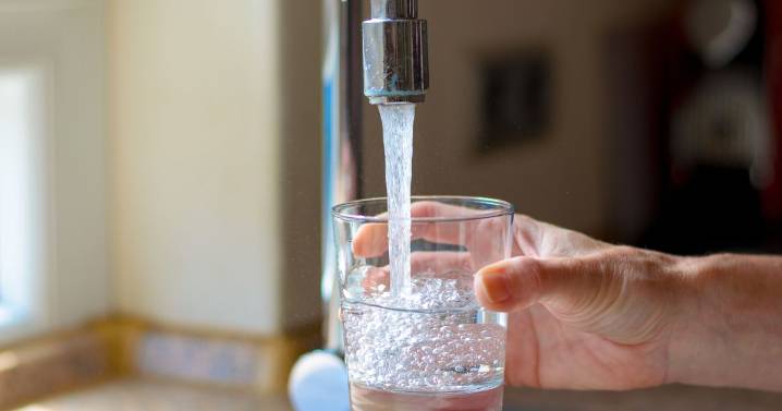 Never drink water from your tap