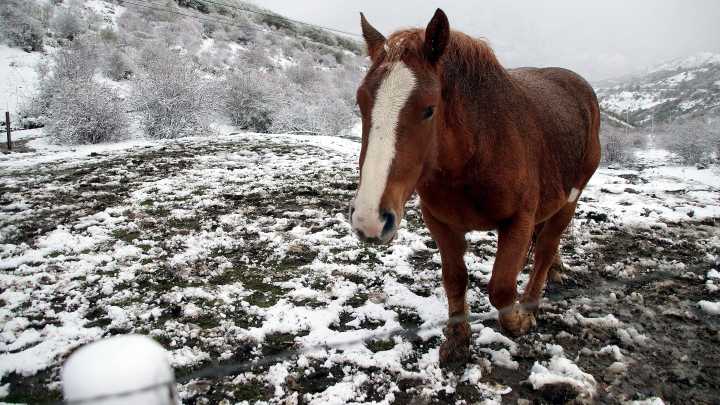El tiempo este viernes 21 de noviembre en España: seis comunidades en aviso naranja por nieve y oleaje